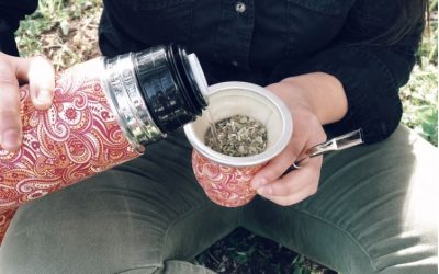 ¿Cómo curar un Mate?